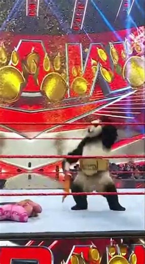 Panda Cena: Chair-Smashing WWE Rampage!