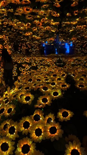 mel (@mmelaniee17) - Sunflower Imaginarium Festival in Ontario California