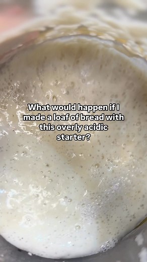 238K views · 1.2K reactions | If your starter is too acidic, you’ll...