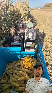 15K views · 75 reactions | Combine harvester train functions | Curiosity of Junior | Facebook