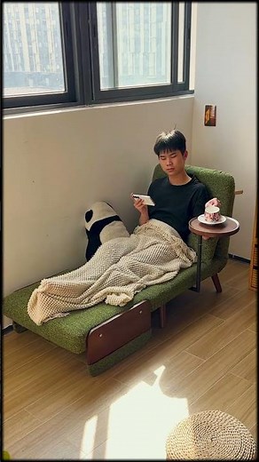 Compact Convertible Chair That Turns Into a Bed Space Saving Furniture for Small Apartments