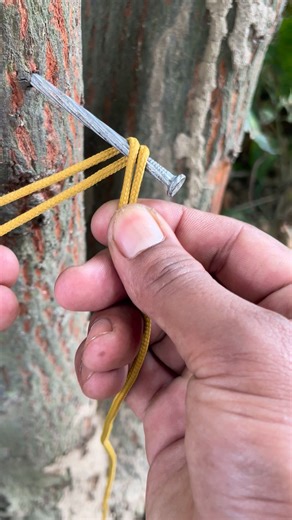 Rope Master on Reels