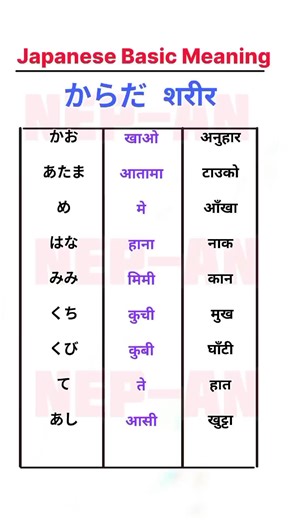 #japaneselanguagelearning #minnanonihongo #nepan #tokyo