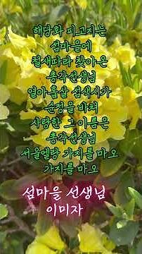 이미자의 섬마을 선생님🍃마음을 울리는 그 시절 명곡#7080트로트 #이미자노래 #감성트로트