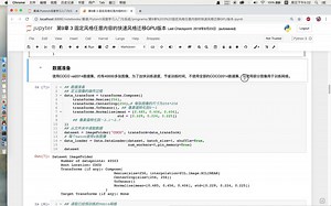 《Pytorch深度学习入门与实战》9_3 固定风格任意内容的快速风格迁移实战
