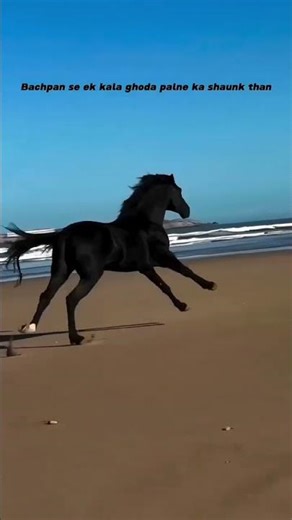 Comment your horse name 🐎