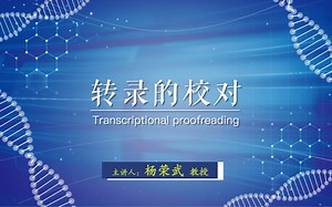 转录的校对