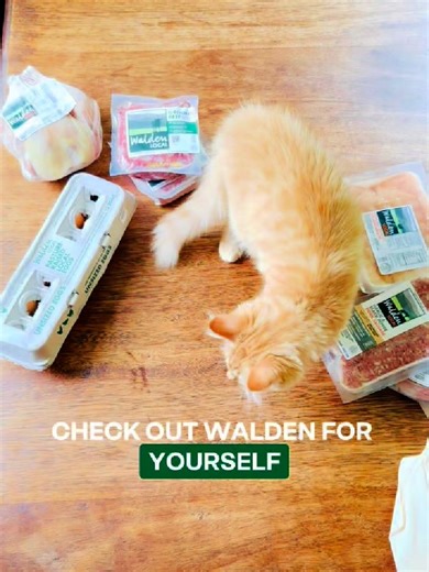 WARNING: We’re about to ruin grocery store meat for you. In the best possible way. Once you try 100% grass-fed, pasture-raised meat from small East Coast farms, you’ll never go back. ✅ No antibiotics ✅ No feedlots ✅ No mystery meat Join 25,000 members who said “no thanks” to shrink-wrapped mystery meat. And yes to something better. | Walden Local Meat Co.