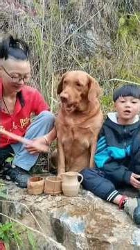 Cool gadgets! 🥰Smart Appliances, Home Cleaning-Inventions for the kitchen, #Short