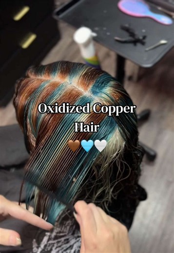 If it looks this good wet, you KNOW it’s going to eat dry 😮‍💨 I think this is the coolest thing EVER, I’ve been DYING to get my hands on the oxidized copper hair trend! Part 2 Transformation video coming soon! 👀 #althairstylist #alternative #hairdye #calicohair #hairtrends
