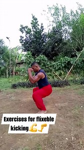 4.2K views · 116 reactions | Exercises for flixeble kicking例 #exercises #kickingexercise #exercisesforbodycondistioning #reelsvideoシ #reelsviralシ #reels | Jemar Dokit Dblogs | Facebook