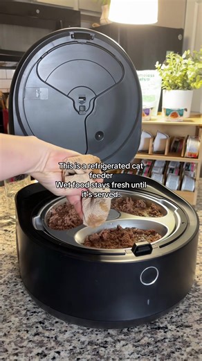 Replying to @saywhatnow If you’ve ever wondered how to feed your cat wet food when you’re not home, this is the safest setup I’ve found. This refrigerated cat feeder keeps wet food stored cold and serves meals automatically at scheduled times, so your cat eats on routine even if you’re away overnight or traveling. I control everything from my phone, which makes it ideal if: • you work long hours • you travel or take overnight trips • your cat sitter cancels • you don’t want wet food sitting out 