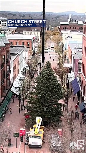 The holiday season is nearly here, and crews spent Friday morning setting up the magnificent Church Street Christmas Tree at the top of the marketplace. The tree will be decorated, and a lighting ceremony will be held on Friday, Nov. 28 to officially ring the season of giving in Vermont. The Church Street Marketplace | My NBC5