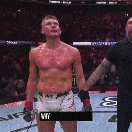 Stephen Thompson's Wonderboy Highlights in UFC