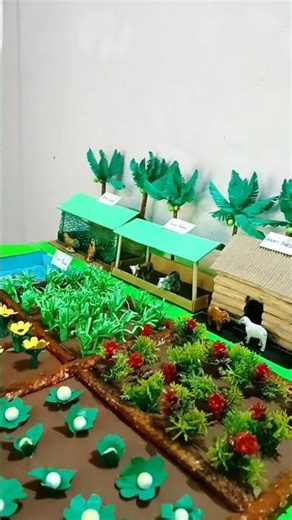 Integrated Farming Agriculture model | integrated farming model science project #diy #shorts #craft