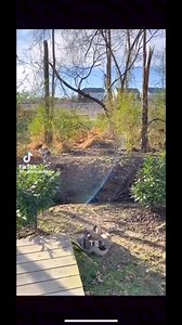 😂🤣😂 | Dank Memes