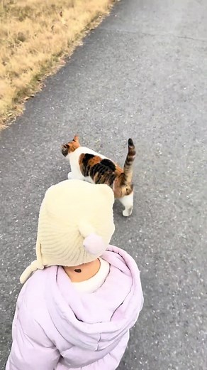 Cat Shows Incredible Imitation Skills in Short Clip