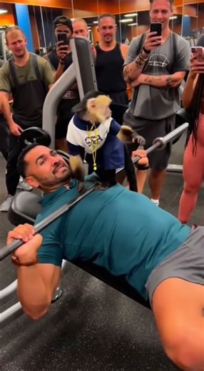 Tiny Monkey Fixes a Human’s Gym Form 😂🐒💪
