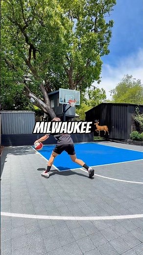 THE EVOLUTION OF THE MILWAUKEE BUCKS LOGO 🦌