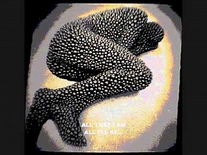 Pearl Jam - Black - video with lyrics