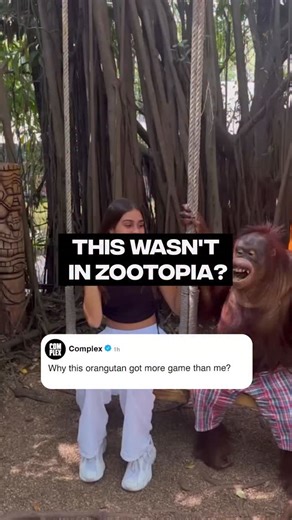 Game recognizes game 😂 [via Agam_Roshihozki/tt] | Complex