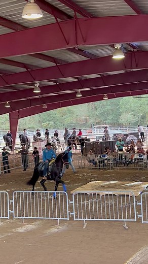 #reyesdelespectaculos #plazaelodazal #ezequielpeña