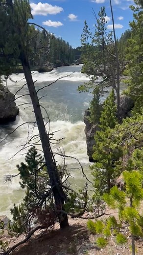 Randall Greene on Reels