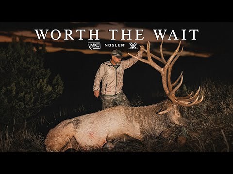 380” PUBLIC LAND GIANT!! | ARIZONA ELK HUNT | WORTH THE WAIT