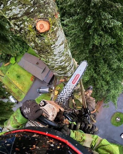 235K views · 1.4K reactions | Most satisfying job on Earth?  POV from expert tree trimmer + $500 #GoProAwards recipient Robert Knecht  GoPro.com/Awards | GoPro | Facebook