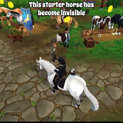 Invisible Horse (star stable glitch)