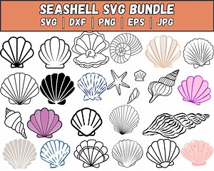Seashell SVG Bundle, Seashell PNG Bundle, Seashell Clipart, Seashell SVG Cut Files for Cricut, Seashell Silhouette, Sea World Svg, Shell Svg - Etsy