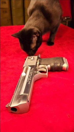 Desert Eagle 50ae Disassembly Reassembly