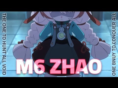 The Void Hunter has Arrived (M6 ZHAO GAMING)