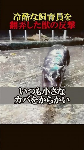 ㊗️650万回再生！冷酷な飼育員を翻弄した獣の反撃 #動物 #感動