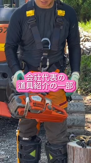 アーボプラスで1人一台貸与されているチェーンソーです。 ハスクバーナ550XPマークII。 パワーもありますが、それなりの重さもあり断幹や玉切りにつかいます。 At Arbo Plus, each worker is assigned their own chainsaw. It’s the Husqvarna 550XP Mark II. It has plenty of power, but also considerable weight, so we mainly use it for stem cutting and bucking. #求人 #アーボプラス #特殊伐採 #ツリークライミング #林業 #アーボリスト #木こり #京都 #自然 #arborplus #forestry #arborist #treecliming #treework #Instagram #nature | 株式会社アーボプラス