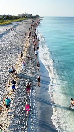 5.6K views · 77 reactions | Sandy strides and beach side vibes at Punta Gorda/Englewood Beach’s inaugural Turtle Trot 5k and 1-mile fun run! ️ Over 300 runners ran along the beautiful aqua water and crystal white sand of Englewood Beach. Missed this run? Join us for the Manatee Mosey on Nov. 2, for some salty air, sandy shores, and sun-kissed miles. ️☀️ Sign up at https://tinyurl.com/ManateeMosey | Charlotte County, Florida Government | Facebook