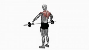 Barbell Wide Grip Upright Row Fitness Stock Footage Video (100% Royalty-free) 1104380831 | Shutterstock