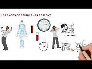 AE Effets Physiologique de l'Alcool