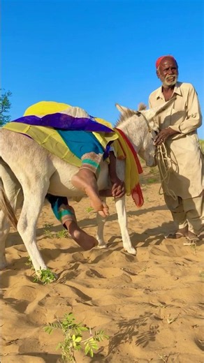 😍 رحلة فتاة مع حمارها على الطريق الريفي.. لحظات جميلة لا تُنسى! 🫏🌾❤️