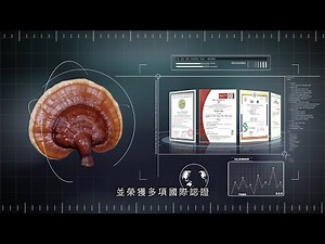 Believe in Doublecrane, Envision Your Future