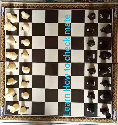 how to check mate 2 move