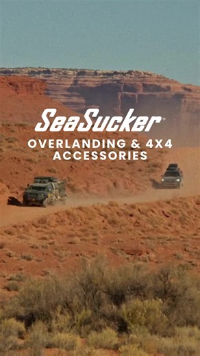 seasuckerofficial (@seasuckerofficial)’s videos with original sound - seasuckerofficial