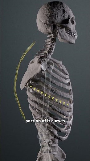 HYPERKYPHOSIS BREATHING