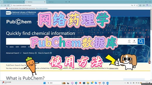 【手把手教学】网络药理学PubChem数据库使用方法