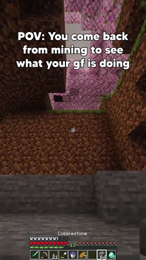 cat farm or string farm? 🤔 #minecraft #minecraftyoutuber | Minecraft Build Ideas