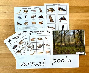 Vernal Pool Common Species Bingo & Memory Games -- Montessori Inspired, Preschool and Elementary Digital Download - Etsy Canada