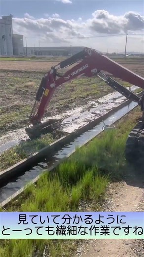 【大豆】ユンボによる畔形成作業【盈科】 #農業 #ユンボ #大豆 #水漏れ #農業機械