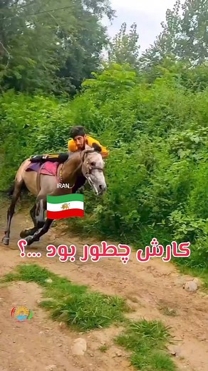 6.3K views · 141 reactions | Horse riding IRAN 懶❤️ ©️Farahnaz ©️ Morteza Shiralinya | Iran In Photos | Facebook