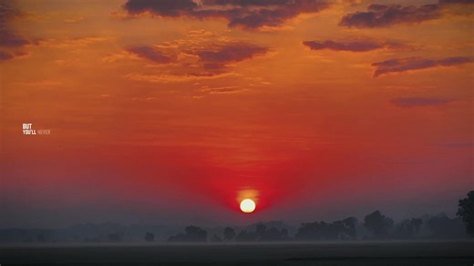 Create Memorable Videos with CapCut