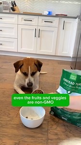 Upgrade your pet's diet with flavorful and nutrient-rich kibble from Open Farm 💚🐾 | Open Farm